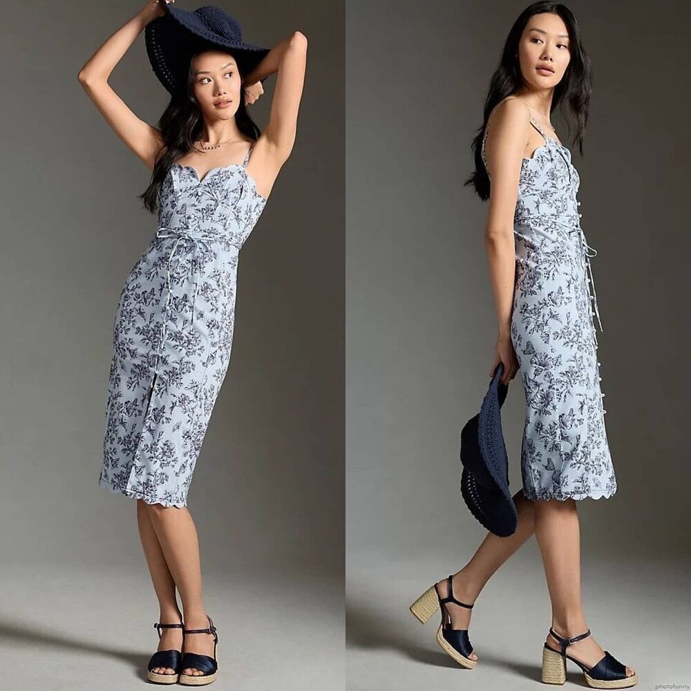 Anthropologie Dress 12 Pencil Knee length Fitted Summer Chic Resort Floral Blue